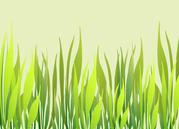 Green grass photo frame — Stock Vector