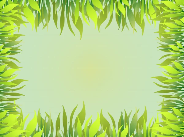 Green grass photo frame — Stock Vector