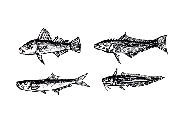 Peces dibujados a mano Vector ilustración — Archivo Imágenes Vectoriales