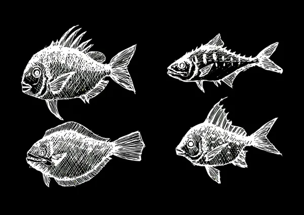 Çizilmiş balık vektör çizimi uzat — Stok Vektör