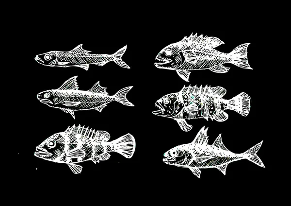 Çizilmiş balık vektör çizimi uzat — Stok Vektör