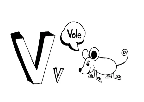 Dessin à la main lettres vectorielles — Image vectorielle