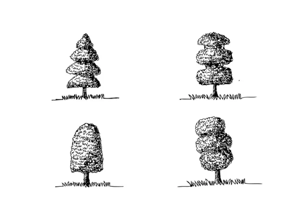 Ensemble d'arbres vectoriels avec feuilles — Image vectorielle