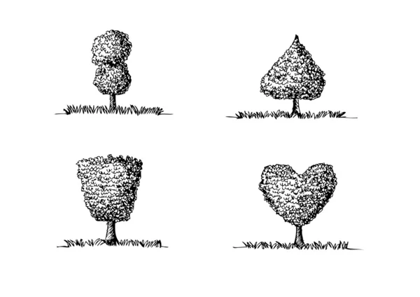Ensemble d'arbres vectoriels avec feuilles — Image vectorielle