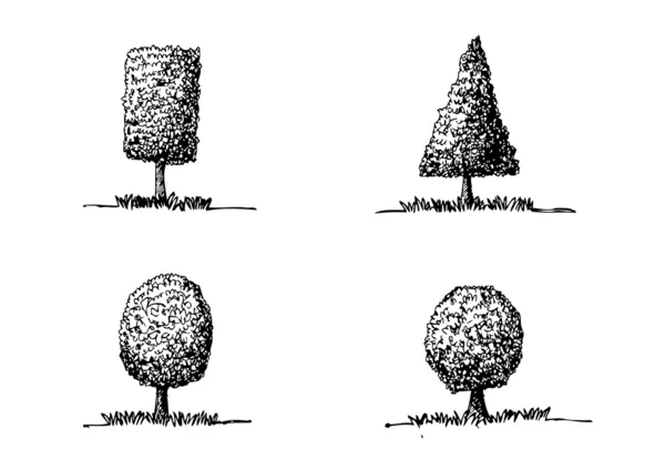 Set di alberi vettoriali con foglie — Vettoriale Stock