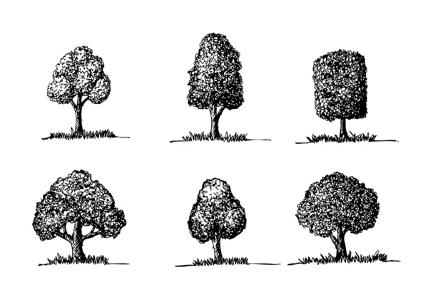 Σύνολο διάνυσμα δέντρα με τα φύλλα — Διανυσματικό Αρχείο