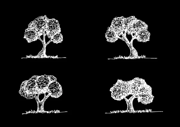 Ensemble d'arbres vectoriels avec feuilles — Image vectorielle