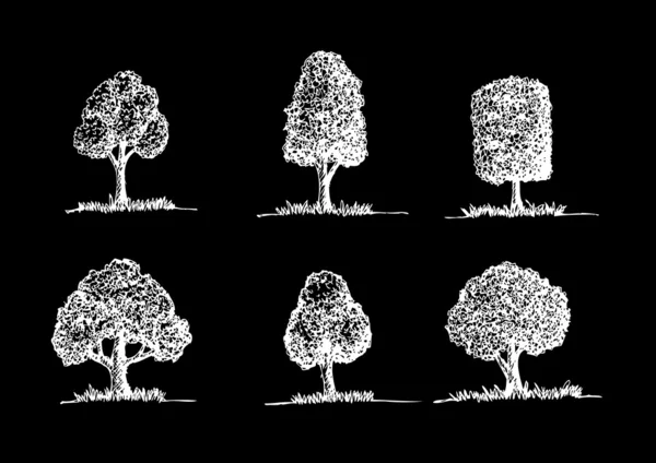 Conjunto de árvores vetoras com folhas —  Vetores de Stock