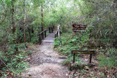 PHA taem Milli Parkı peyzaj ubonratchathani, Tayland