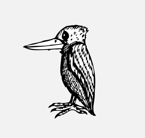 Pájaro, dibujo a mano — Vector de stock