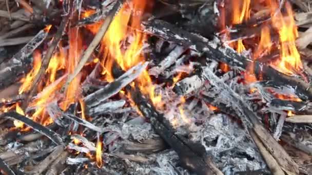 Hintergrund des Feuers — Stockvideo