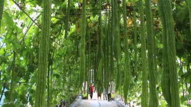ubonratchathani Tayland - Kasım 2013: yürüyen kalabalık insan Market.