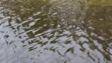 şelale ubonratchathani Tayland at