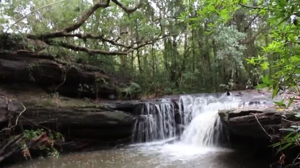 Waterfall at Ubonratchathani Thailand — Stock Video