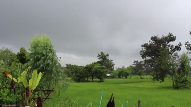 Paisagem Ubonratchathani, Tailândia — Vídeo de Stock