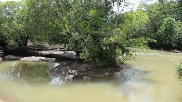 Şelale ubonratchathani Tayland at — Stok video