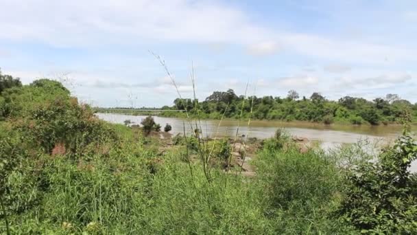 Tad tone waterfall in Ubon Ratchathani thailand — Stock Video