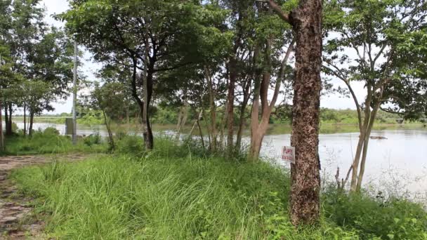 Srác hangja vízesés ubon ratchathani, Thaiföld — Stock videók