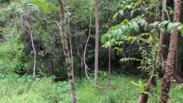 Cachoeira em Ubonratchathani Tailândia — Vídeo de Stock