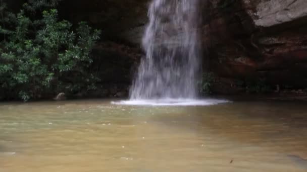 Şelale ubonratchathani Tayland at — Stok video