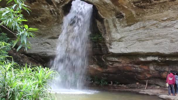 Şelale ubonratchathani Tayland at — Stok video