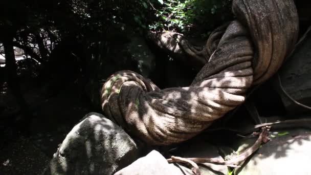 Wasserfall bei ubonratchathani thailand — Stockvideo