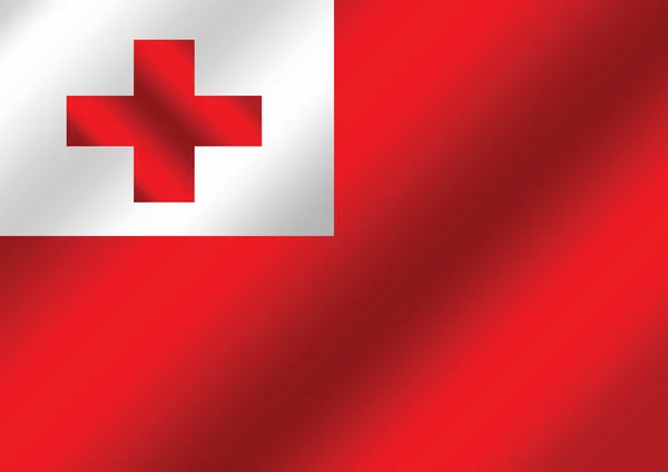 Bandera de Tonga temas idea diseño — Archivo Imágenes Vectoriales
