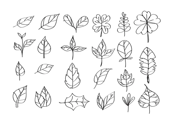 Leaf pictogram idee ontwerp — Stockvector