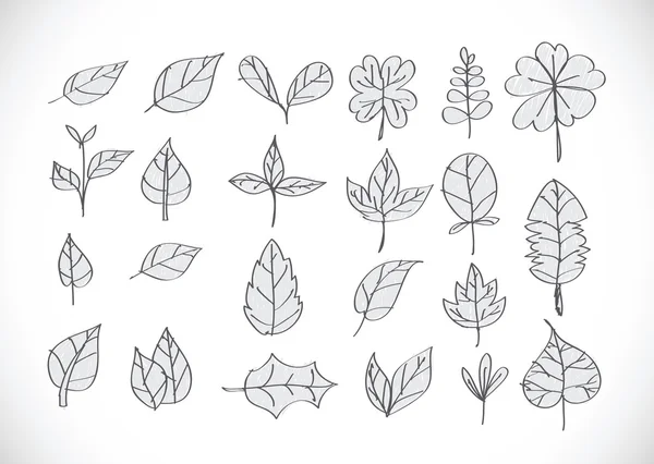 Leaf pictogram idee ontwerp — Stockvector