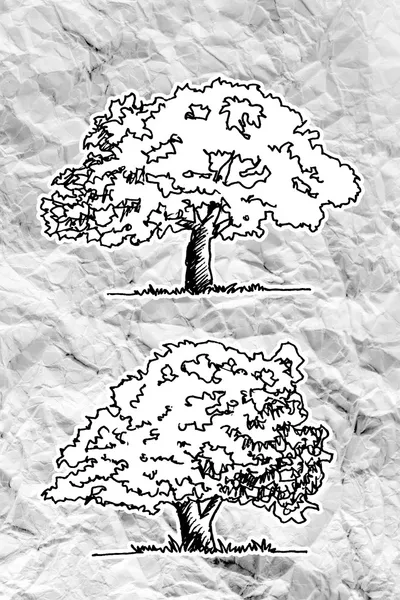 Набор деревьев с листьями на скомканной бумаге — стоковое фото