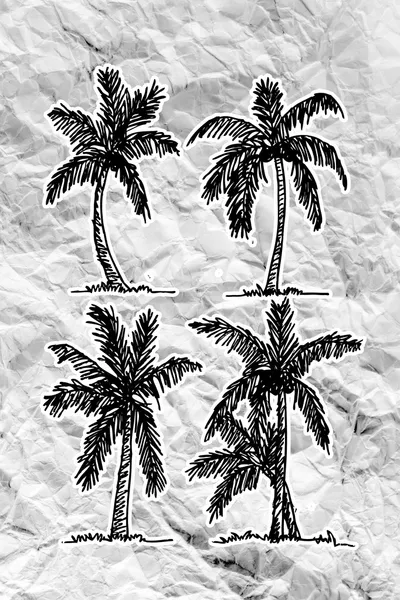 Set van palm tree tropische palmbomen op verfrommeld papier — Stockfoto