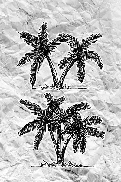 Set of palm tree Tropical palm trees on crumpled paper — Stock Photo, Image