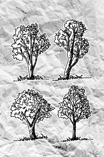 Set di alberi con foglie su carta sgualcita — Foto Stock