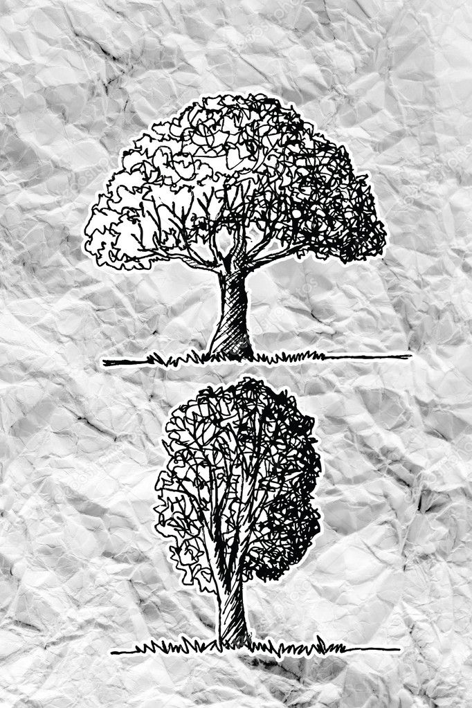 Daun jati Stok Foto Daun jati Gambar Bebas Royalti