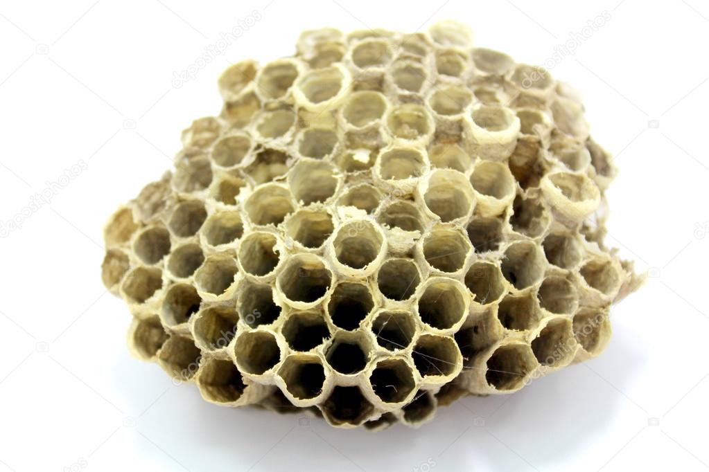 Bee Hive honey 