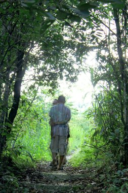 doğa phu rua dağ, phu rua, loei, thailand
