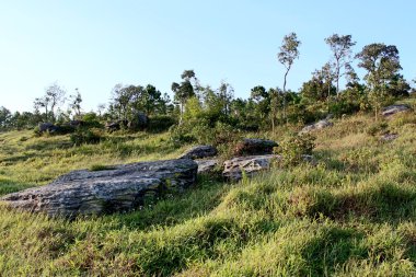 taş manzara dağda Phu Rua, Phu Rua, Loei, Thailand