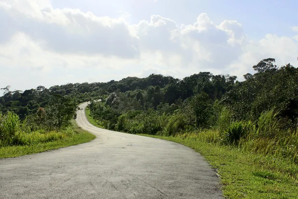 Yolda phu rua dağ, phu rua, loei, thailand — Stok fotoğraf