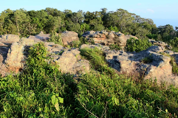 Pedra paisagem na montanha Phu Rua, Phu Rua, Loei,, Tailândia — Fotografia de Stock