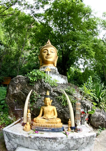 Pagodas at Wat TAM PIANG DIN, Loei Province, Northeast of Thai — стоковое фото