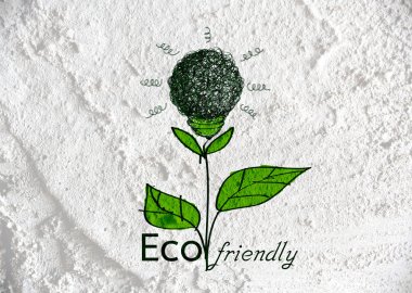 Eko Dostu ampul bitki büyüyen yeşil ve eko enerji konsantrasyon