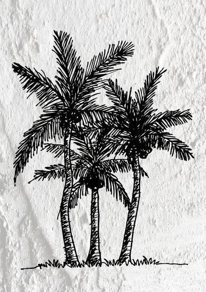 Ilustrações silhueta de palmeiras com folhas na parede te — Fotografia de Stock