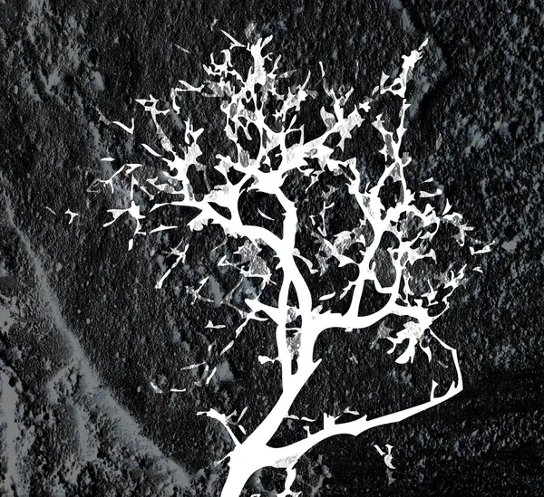 Stromy s listy v siluety na zdi textury pozadí d — Stock fotografie
