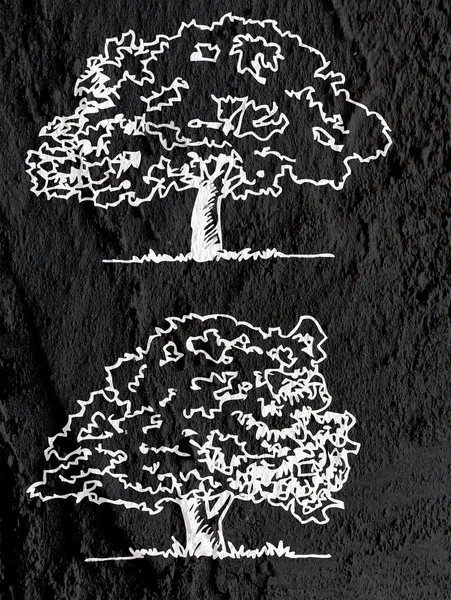 在轮廓上 d 的纹理背景墙上的叶子的树 — 图库照片