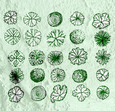 ağaç görünümü Mimarlık peyzaj tasarım projeleri için wa top