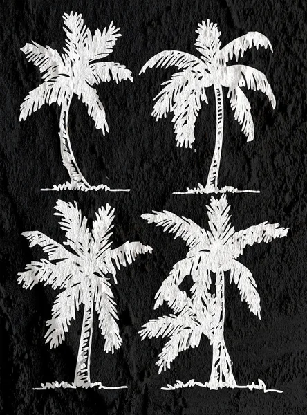 Illustrations silhouette of  palm trees  with leaves  on wall te — Stock Photo, Image