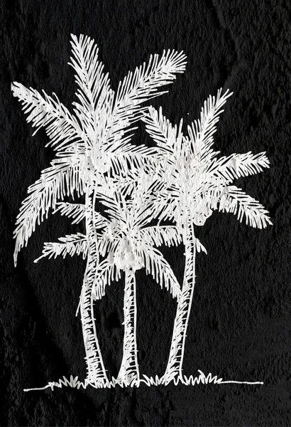 棕榈树上的叶子和插图剪影墙 te — 图库照片
