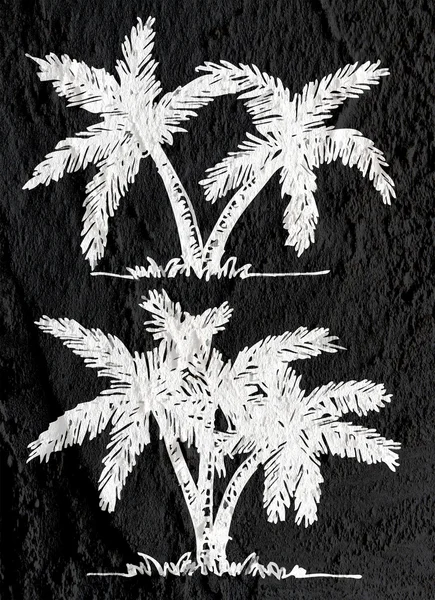 Ilustraciones silueta de palmeras con hojas en la pared te — Foto de Stock