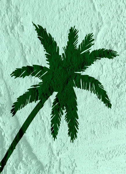 Illustrations silhouette of  palm trees  with leaves  on wall te — Stock Photo, Image