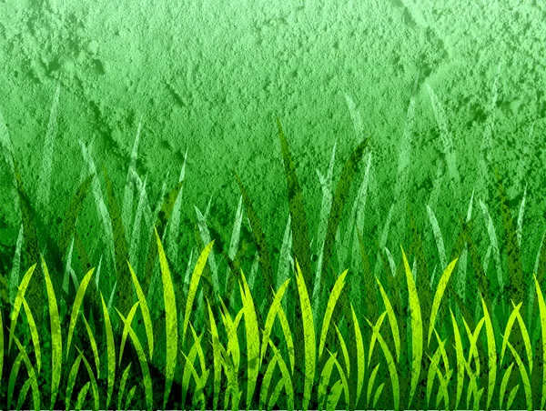 Gras frame achtergrond op textuur achtergrond wanddecoratie — Stockfoto